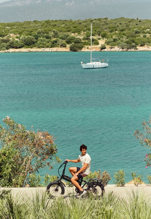 Barut Collection